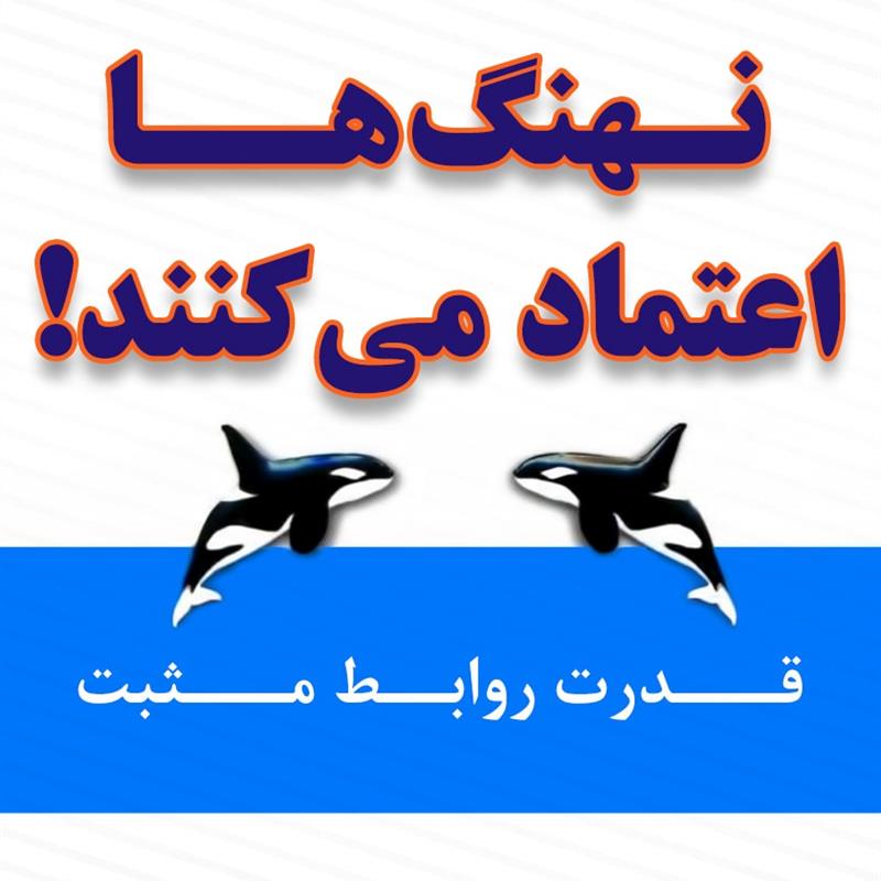 نهنگ‌ها اعتماد می‌کنند – کن بلانچارد